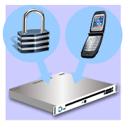 事例４：SSL通信・携帯対応のサイト