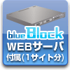 WEB°(1ʬ)